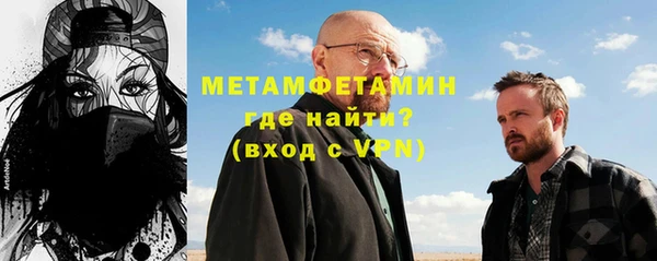 шишки Белокуриха